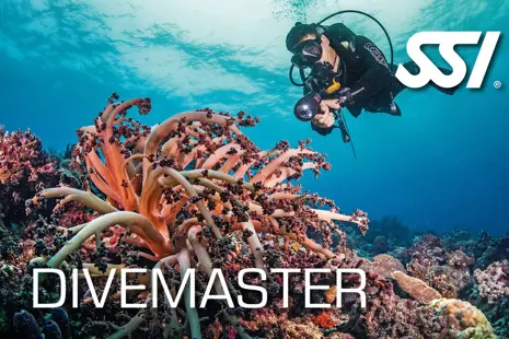 Advanced Open Water Diver